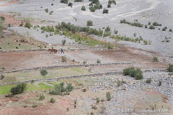 Maroc
Vallée de l'Ourika